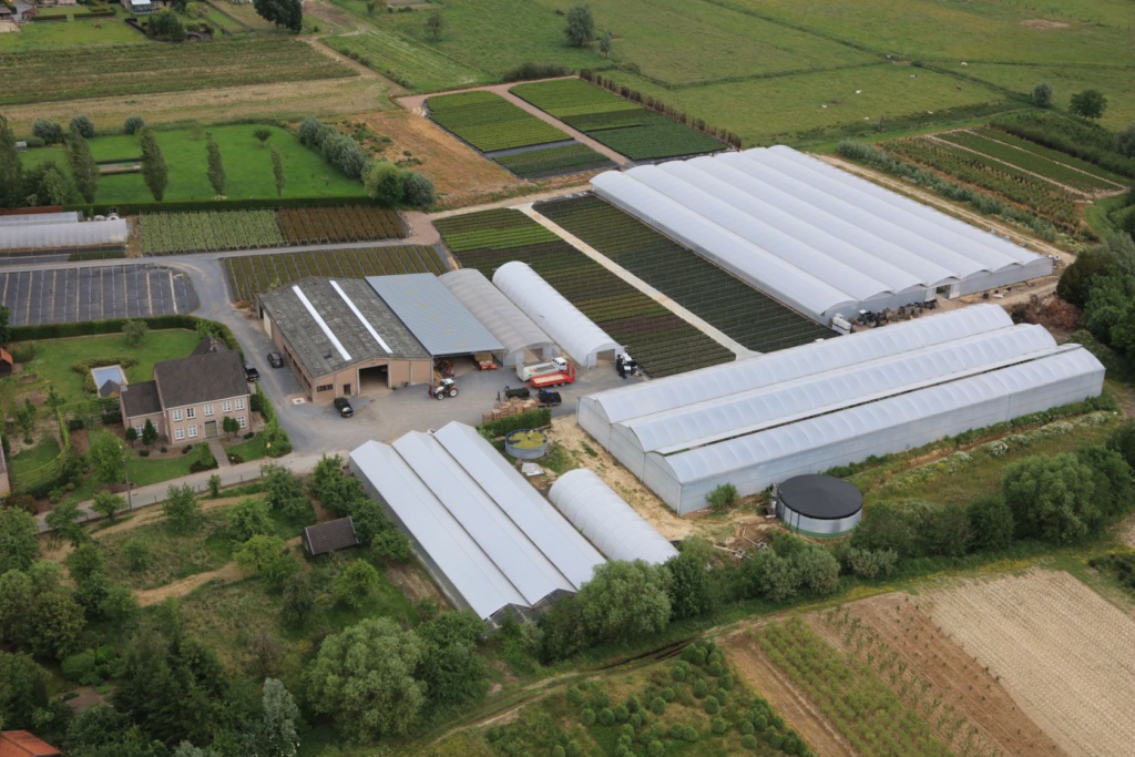 Boomkwekerij Van Kerkhove - Luchtfoto 01